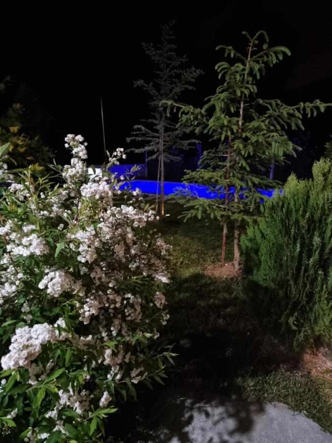 Vila Elektra Tiranë