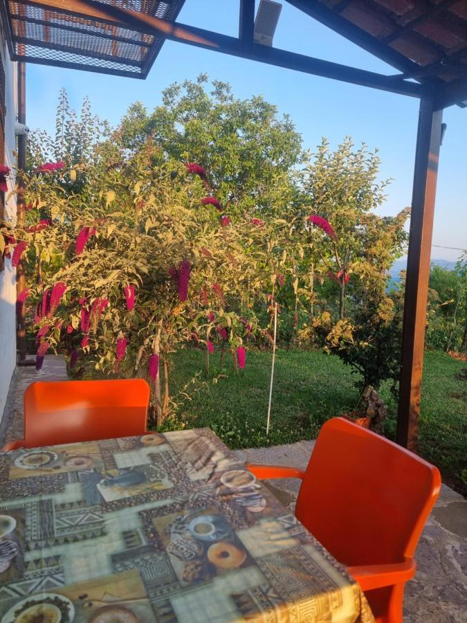 Vila Elektra Gjestgiverier Tiranë