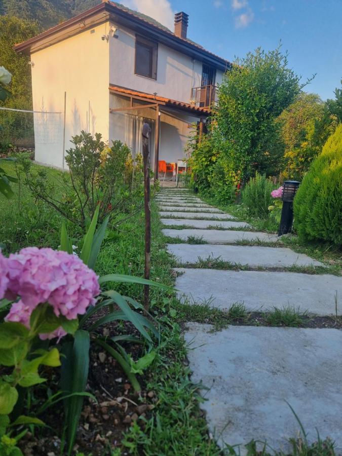 Gjestgiverier Vila Elektra Tiranë