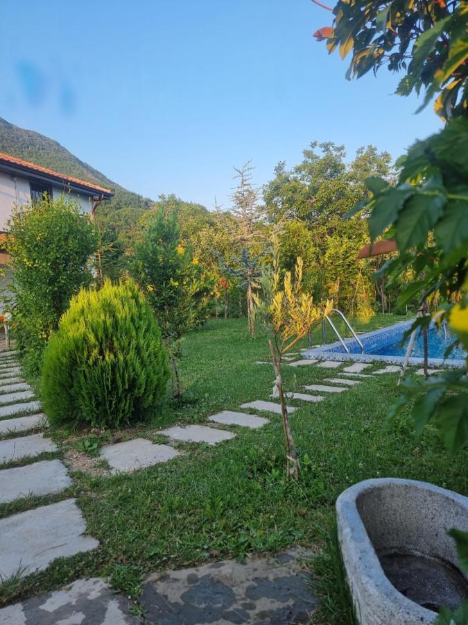 Vila Elektra Tiranë